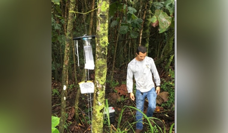 Hāna, Maui Battles Dengue Fever Case with Vector Control and Prevention Efforts Underway