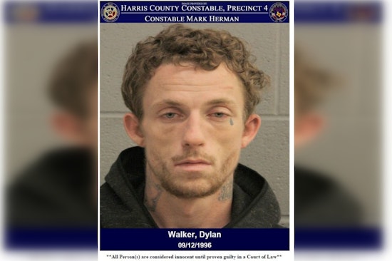 Harris County Deputies Nab Suspect with Felony Warrants in Misty Pines Drive Incident