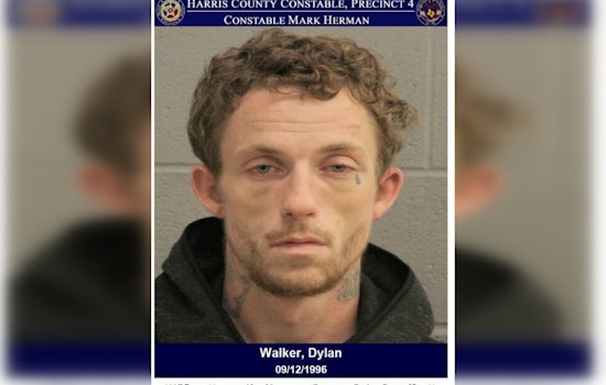 Harris County Deputies Nab Suspect with Felony Warrants in Misty Pines Drive Incident