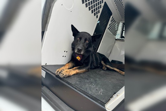 Harris County K9 "Rambo Tom Ramsey" Aids in Methamphetamine Bust on Atascocita Road