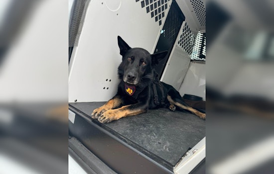 Harris County K9 "Rambo Tom Ramsey" Aids in Methamphetamine Bust on Atascocita Road