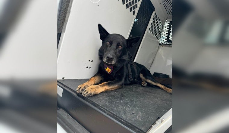 Harris County K9 "Rambo Tom Ramsey" Aids in Methamphetamine Bust on Atascocita Road