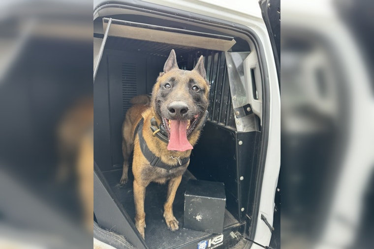 Harris County K9 Trex Aids in Seizure of Up to 100,000 Ecstasy Pills in Ongoing Investigation