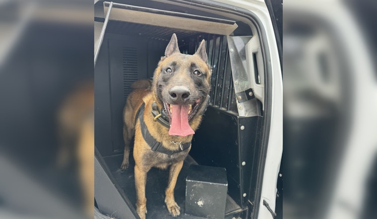 Harris County K9 Trex Aids in Seizure of Up to 100,000 Ecstasy Pills in Ongoing Investigation