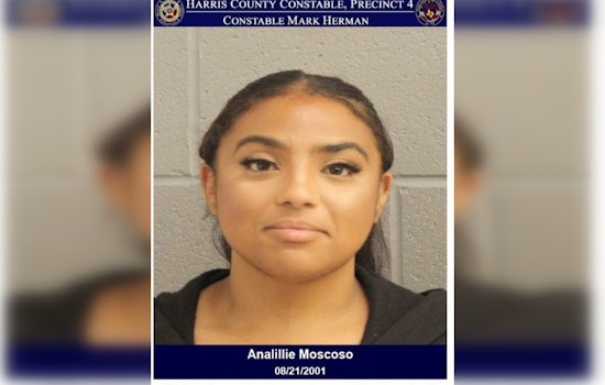 Harris County Woman Charged with Assaulting Elderly Family Member in Domestic Disturbance