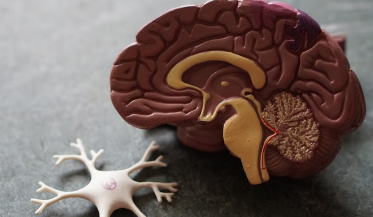 Harvard Neuroscientist Jill Goldstein Unveils Sex-Based Brain Differences Critical to Personalized Medicine