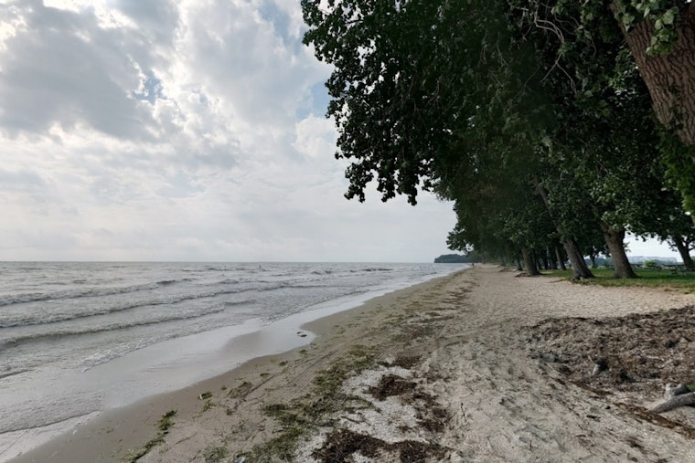 Health Advisory Issued for Sterling State Park in Michigan Due to Elevated E. coli Levels