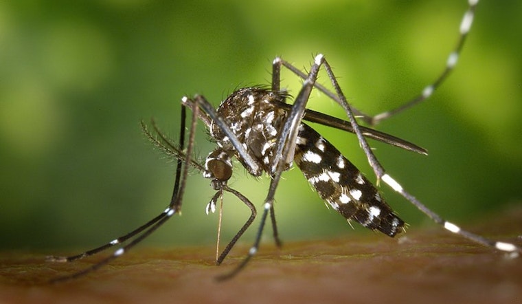 Health Officials Intensify Mosquito Control Efforts Amid West Nile Virus Surge in Chicago and EEE Alert in Massachusetts
