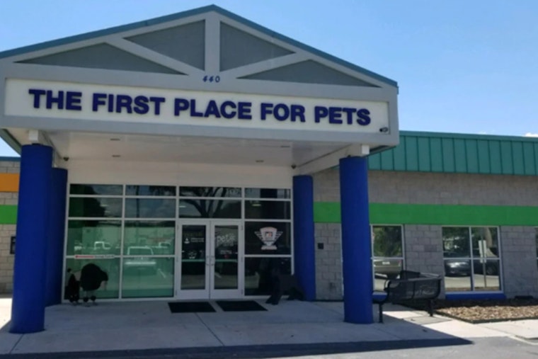 Hillsborough County Offers Free Pet Adoptions for "Clear the Shelters"