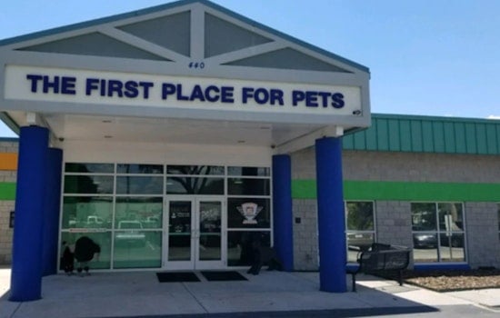 Hillsborough County Offers Free Pet Adoptions for "Clear the Shelters"