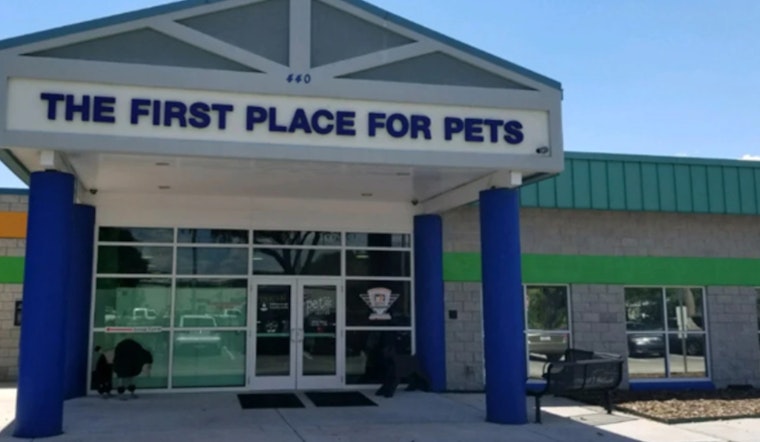 Hillsborough County Offers Free Pet Adoptions for "Clear the Shelters"