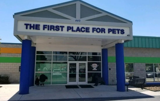 Hillsborough County Pet Resource Center Hosts "Labor of Love" Adoption Event with No Fees This Saturday
