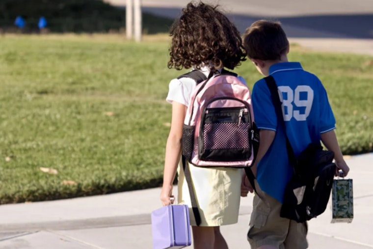 Hillsborough County Urges Vigilance in School Car Lines to Protect Returning Students