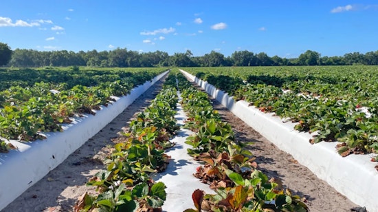 Hillsborough County's Heartbeat, Celebrating the Spirit of Family Farms and Their Community Impact