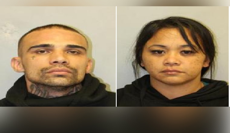 Hilo Couple Arrested on Multiple Charges Including Vehicle Theft and Terroristic Threatening