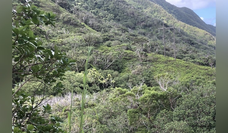 Honolulu's Moanalua Section of Forest Reserve Reopens Following Ha‘ikū Stairs Construction Hiatus