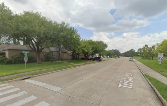 Houston Police Probe Death of Man Found at Triola Lane Park, Seek Public's Assistance