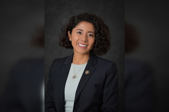 Houston's Judge Lina Hidalgo Makes Bold Style Statement at DNC in Chicago, Advocates for Kamala Harris