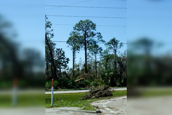 Houston's Lakeside Terrace Residents Await Overdue Hurricane Cleanup as City Struggles with Debris Removal
