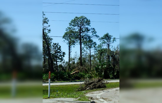 Houston's Lakeside Terrace Residents Await Overdue Hurricane Cleanup as City Struggles with Debris Removal