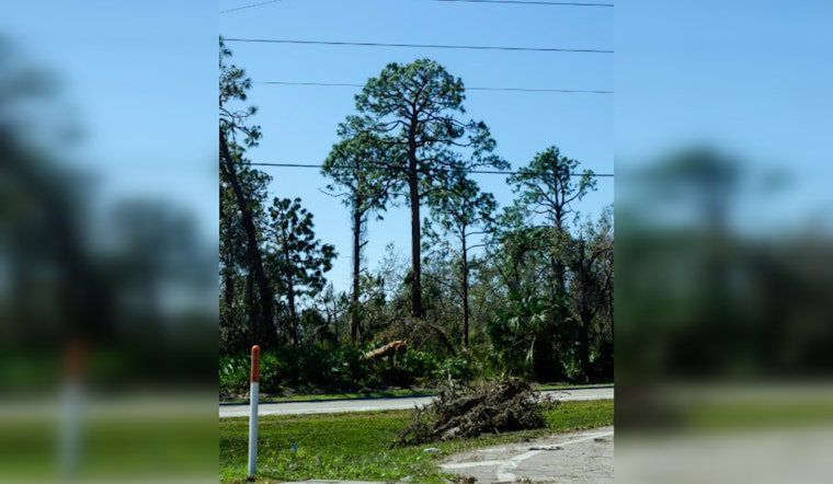 Houston's Lakeside Terrace Residents Await Overdue Hurricane Cleanup as City Struggles with Debris Removal