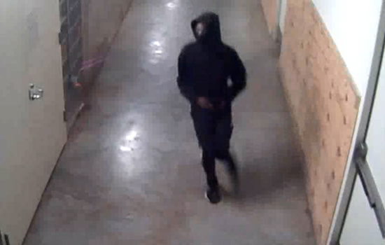 Howard County Police Release Images of Suspected Shooter in The Mall in Columbia Homicide