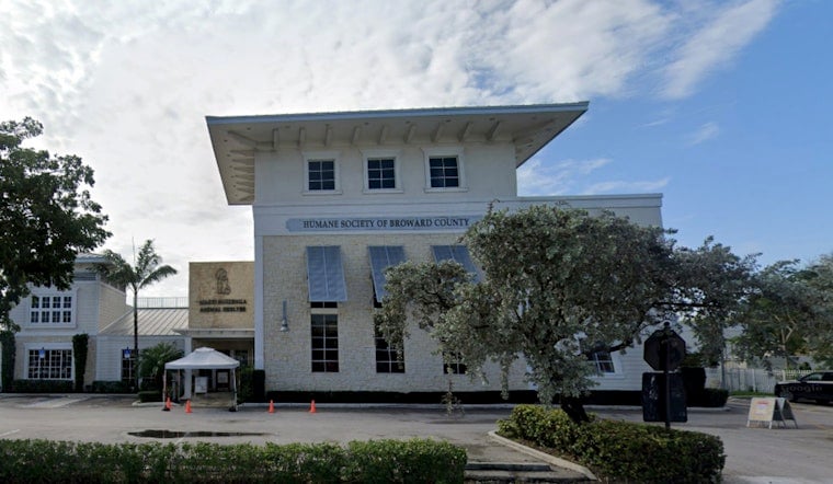 Humane Society Shelters Dogs Displaced by Hurricane Debby, Seeks Adoptive Homes