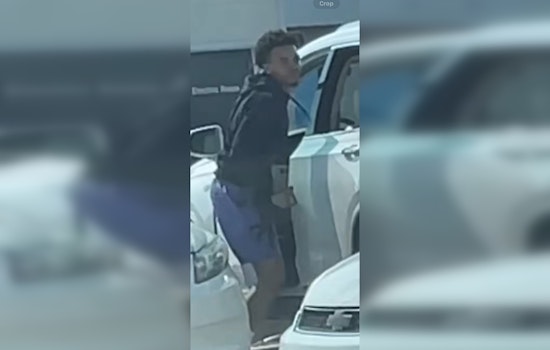 Hunt for Suspect in Vehicle Burglary at Spring Stuebner Road Nail Salon Intensifies