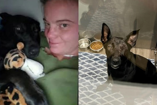 Identity Released of Cripple Creek Woman & Her Dog in Critical Condition Following Camper Assault
