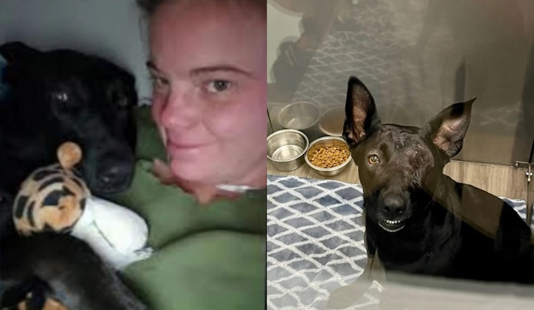 Identity Released of Cripple Creek Woman & Her Dog in Critical Condition Following Camper Assault