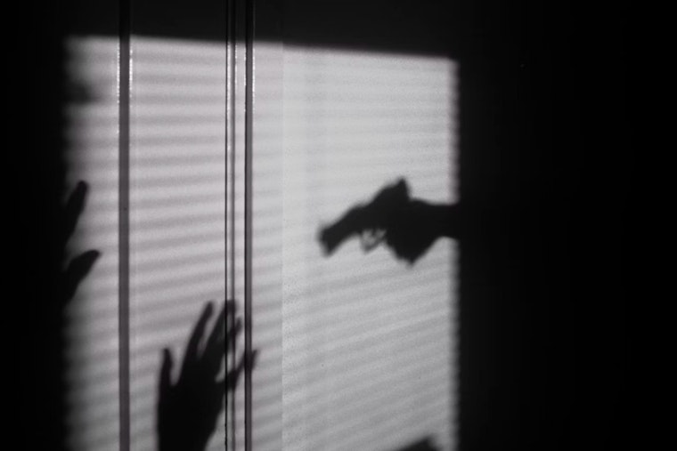 Illinois Faces Surge in Domestic Gun Violence Deaths, Advocates Urge Legislative Action