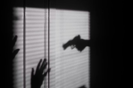 Illinois Faces Surge in Domestic Gun Violence Deaths, Advocates Urge Legislative Action