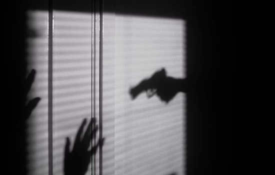 Illinois Faces Surge in Domestic Gun Violence Deaths, Advocates Urge Legislative Action