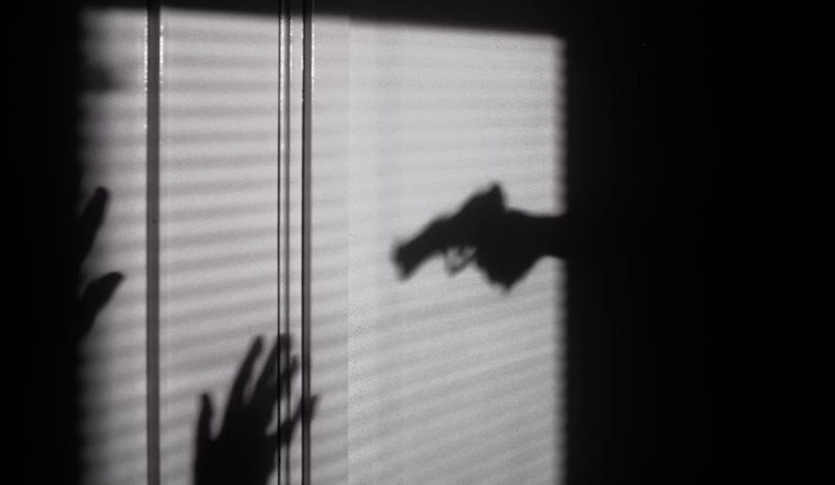 Illinois Faces Surge in Domestic Gun Violence Deaths, Advocates Urge Legislative Action