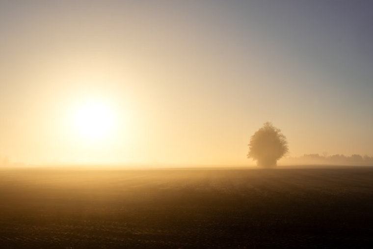 Indianapolis Welcomes a Stretch of Sunny Skies and Mild Temperatures According to NWS Forecast