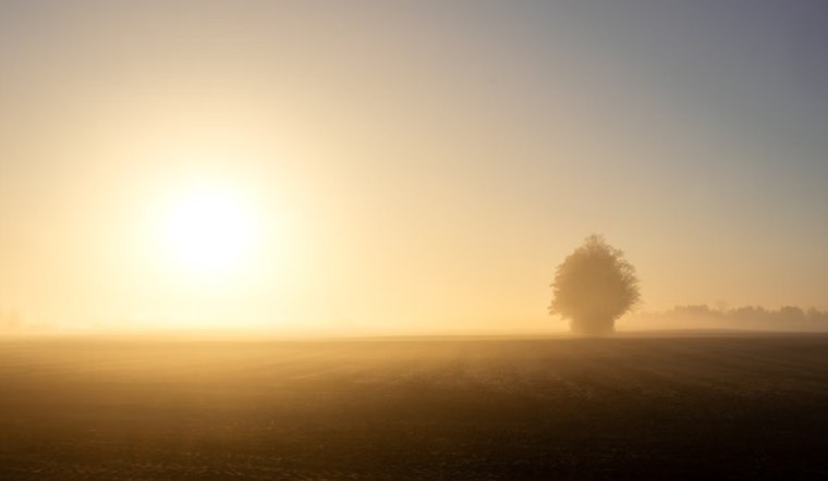 Indianapolis Welcomes a Stretch of Sunny Skies and Mild Temperatures According to NWS Forecast