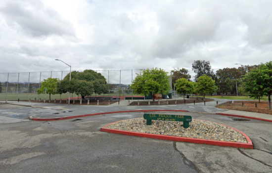 Juvenile Detained after Stabbing Incident in San Mateo's Los Prados Park