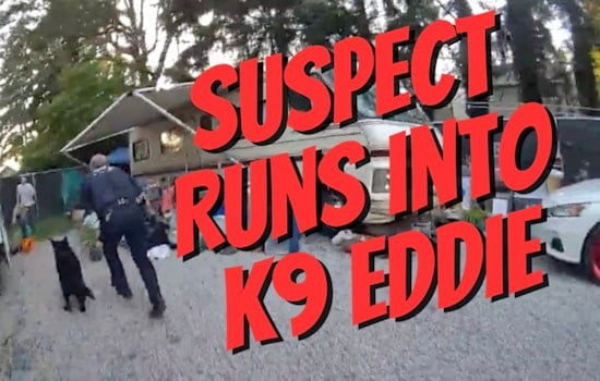 K9 Eddie and Pierce County Deputies Nab Suspect in Hot Pursuit of Stolen Orange Chevy Avalanche
