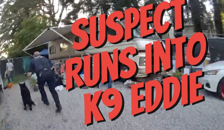 K9 Eddie and Pierce County Deputies Nab Suspect in Hot Pursuit of Stolen Orange Chevy Avalanche