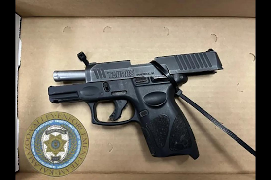 Kalamazoo Parolee Arrested for Unregistered Firearm Possession Amid Crackdown by Local Law Enforcement