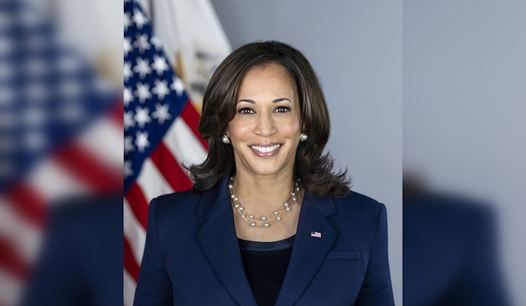 Kamala Harris Takes Lead Over Donald Trump in Latest Presidential Polls, Navigates Complex Voter Dynamics