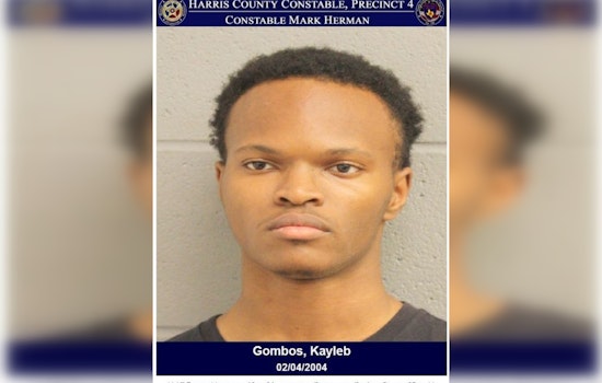 Katy Freeway Racer Charged with Reckless Driving Amidst Previous Child Pornography Charges