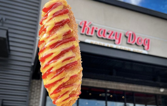 Katy Welcomes Krazy Dog, a Unique Take on Korean Corn Dogs from Houston Entrepreneurs