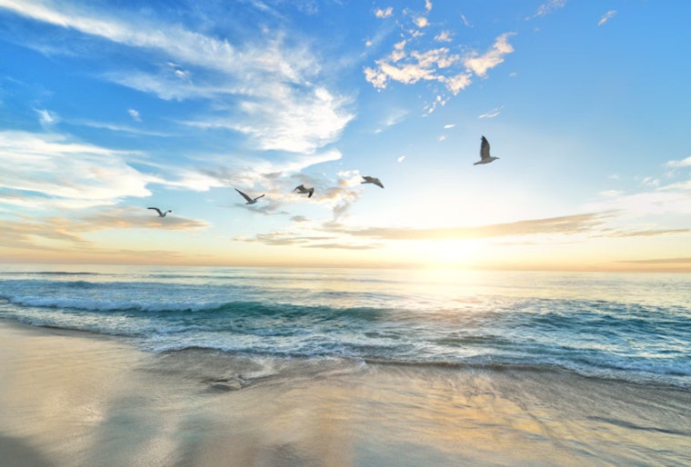 LA County Public Health Issues Water Use Warning for Several Beaches Due to High Bacteria Levels
