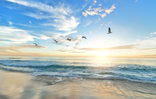 LA County Public Health Issues Water Use Warning for Several Beaches Due to High Bacteria Levels