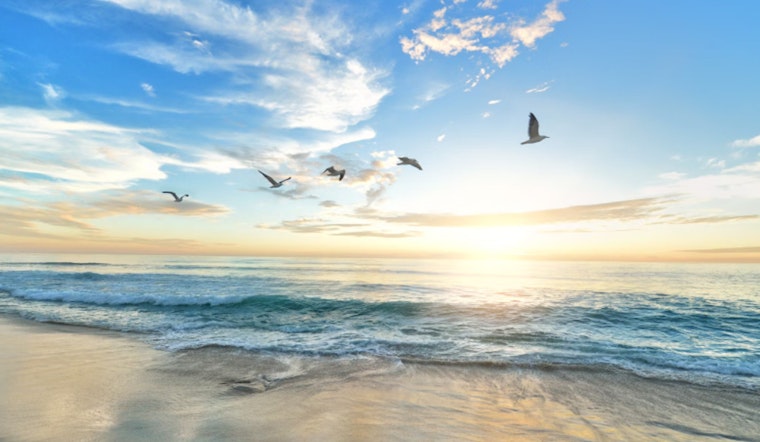 LA County Public Health Issues Water Use Warning for Several Beaches Due to High Bacteria Levels