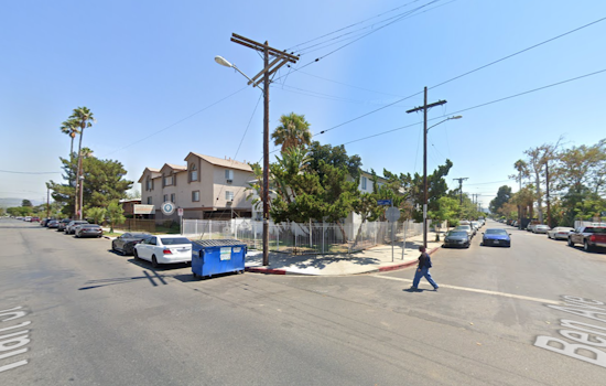 LAFD Successfully Rescues Tree Trimmer Stranded 40 Feet High in North Hollywood