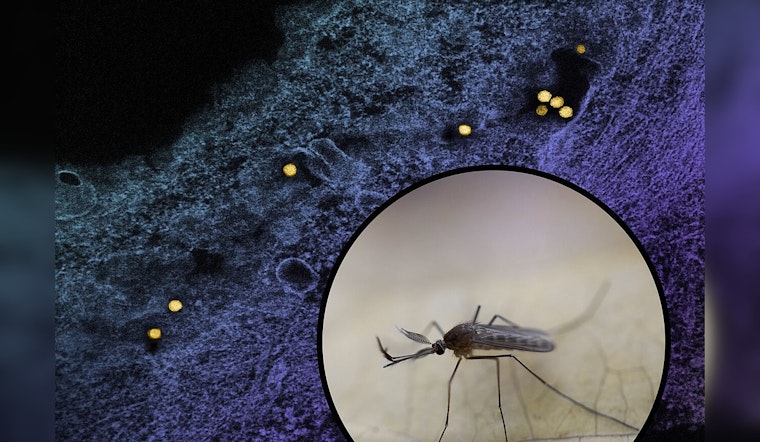 Lake County Resident Succumbs to West Nile Virus in Illinois' First 2024 Fatality, IDPH Confirms