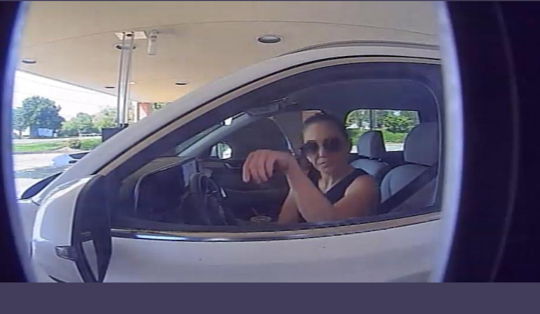 Lancaster County Police Pursue Tattooed Woman Suspected of Purse Theft and Check Fraud