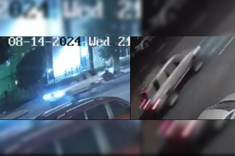 LAPD Seeks Public's Help to Locate Suspect in Hit-and-Run Involving Elderly Woman on Saticoy Avenue